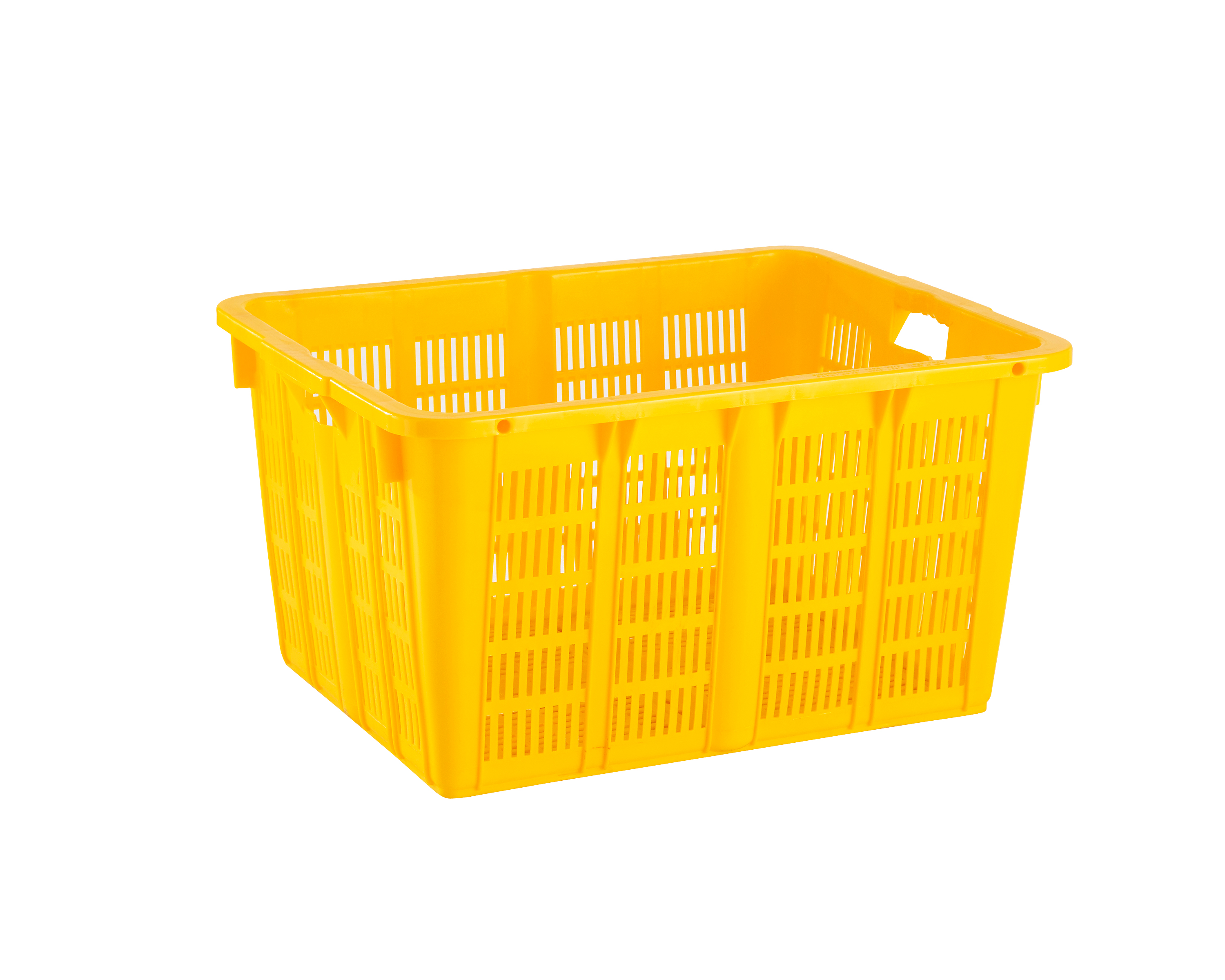 제품사진